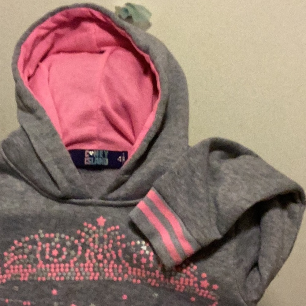 Coney Island 4T Pink& Gray Hoodie Princess Carter’s floral pants, West Coast T - Picture 5 of 16